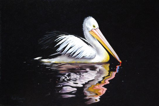 Pelican