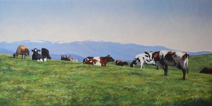 Plenty Cows in Tassie